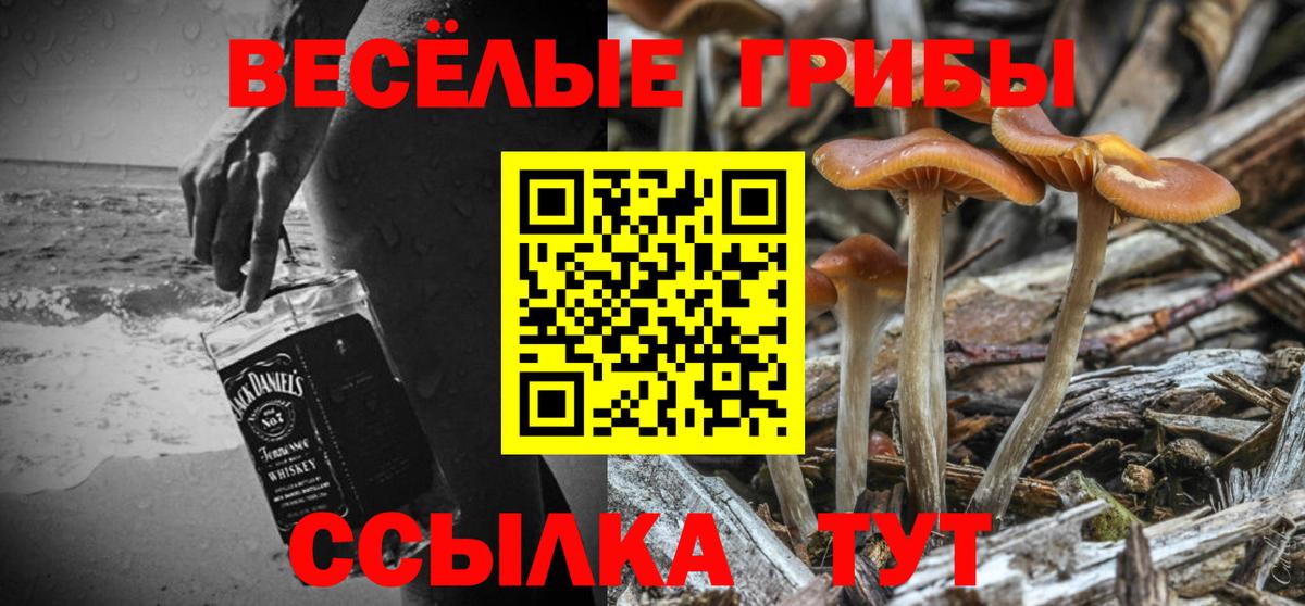 Альметьевск  Псилоцибиновые грибы GOLDEN TEACHER  Вход с VPN 